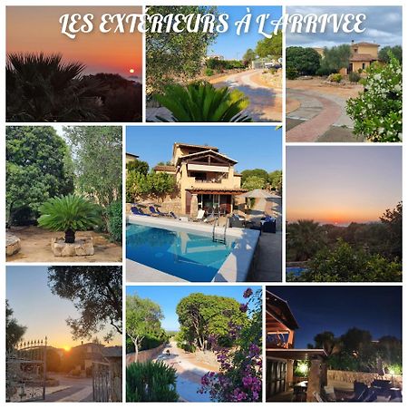 Villa Saba Olbia Bagian luar foto