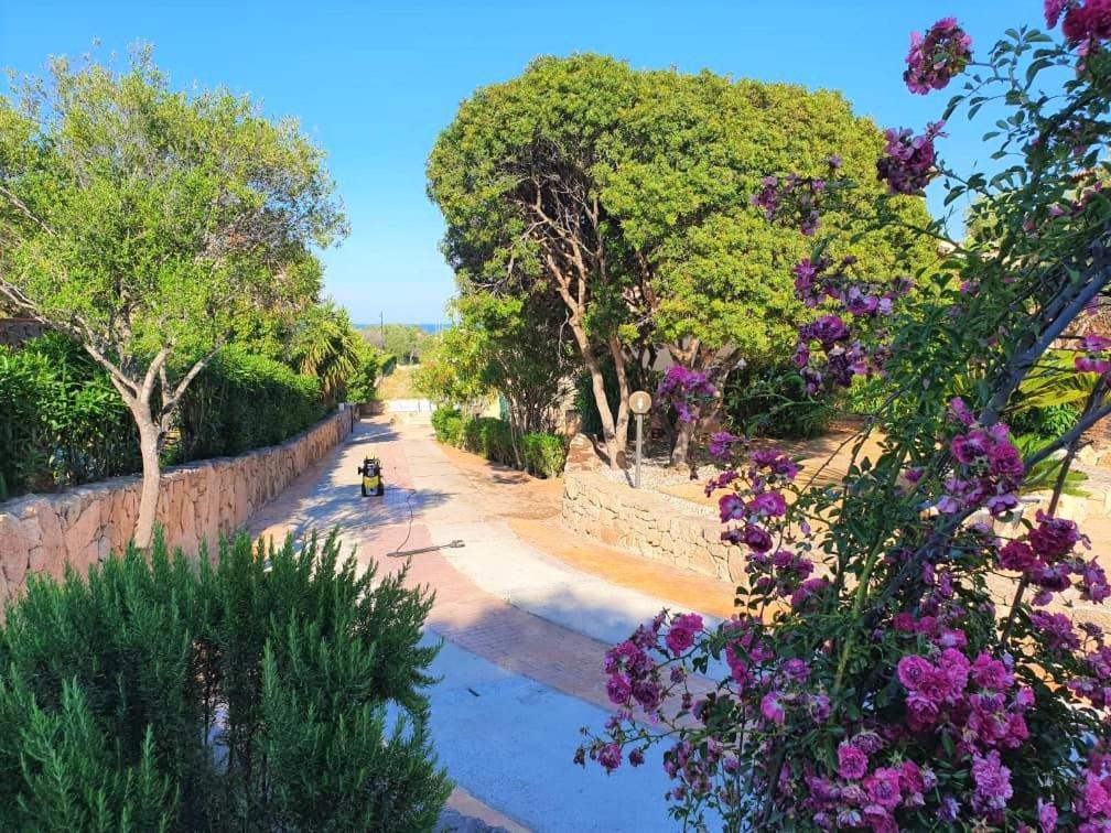 Villa Saba Olbia Bagian luar foto