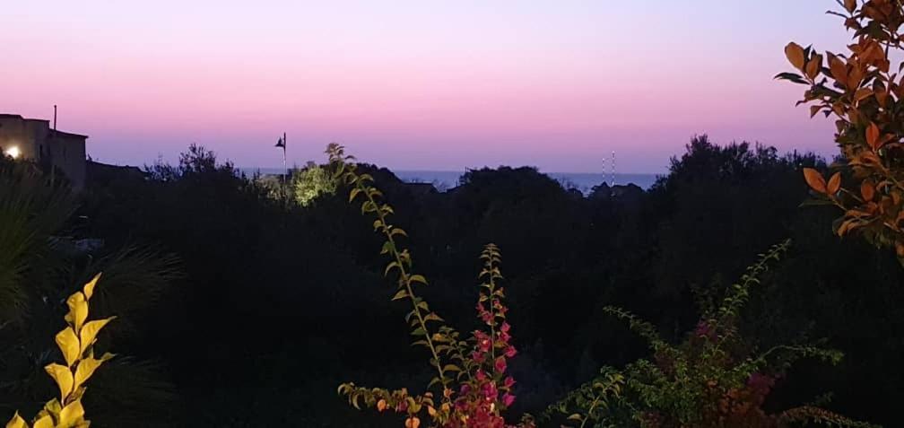Villa Saba Olbia Bagian luar foto