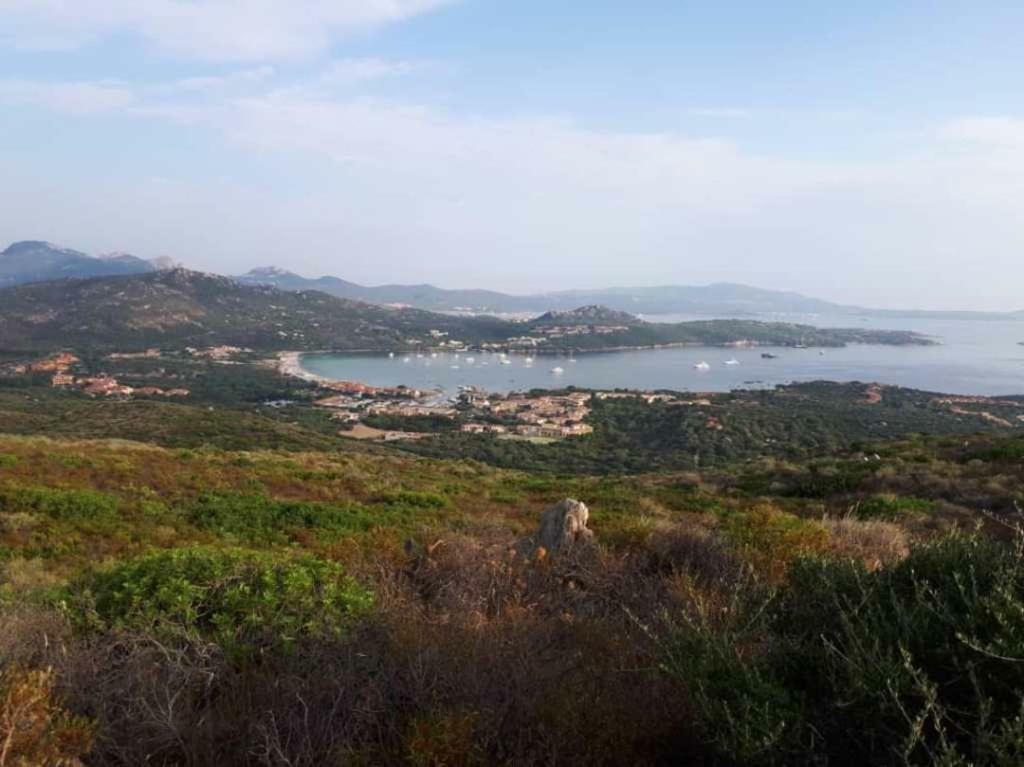 Villa Saba Olbia Bagian luar foto