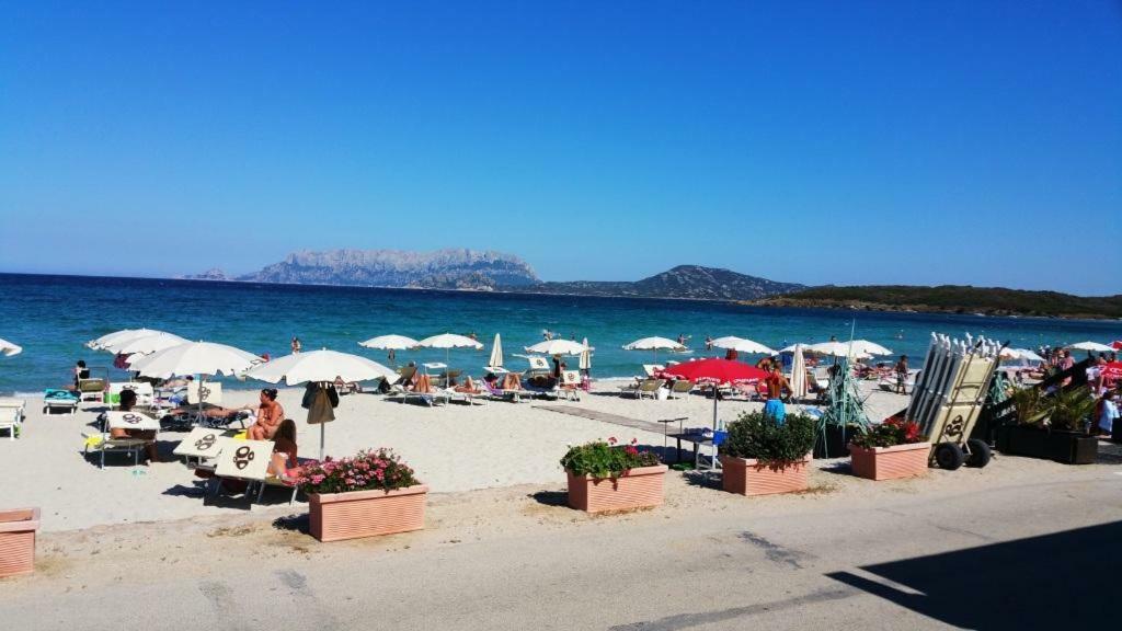 Villa Saba Olbia Bagian luar foto