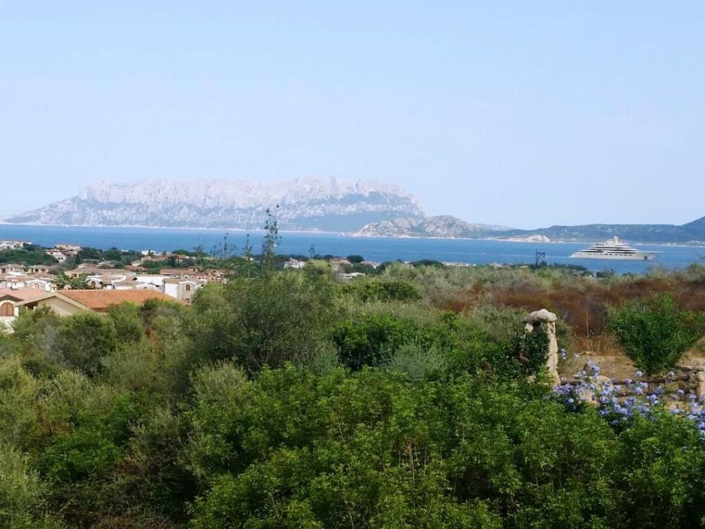 Villa Saba Olbia Bagian luar foto