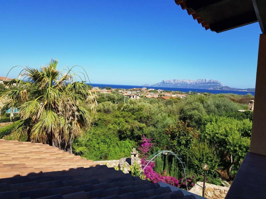 Villa Saba Olbia Bagian luar foto