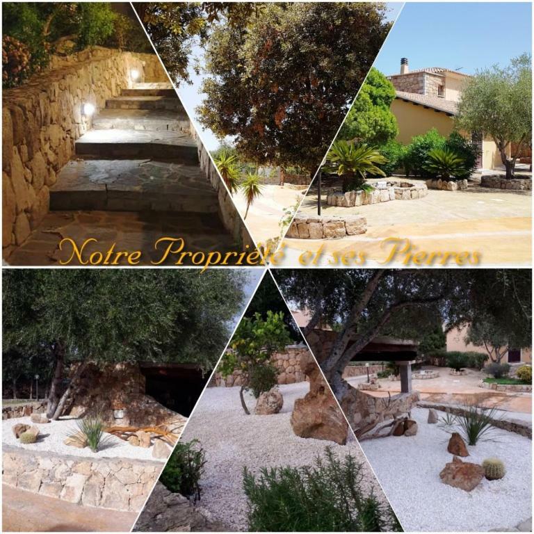 Villa Saba Olbia Bagian luar foto